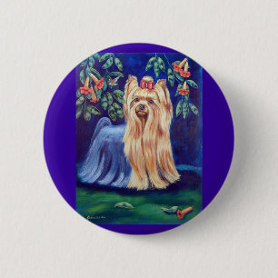 Yorkshire Terrier Knapp