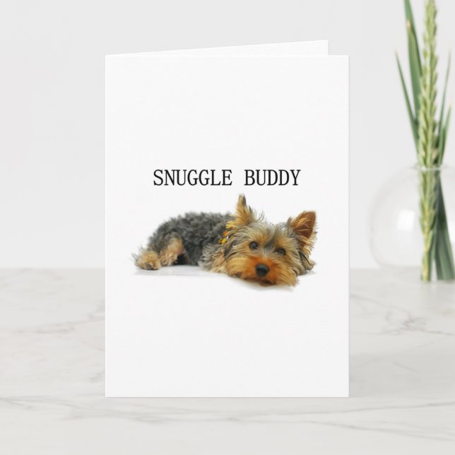 yorkshire-terrier knuffis kort (Framsida)