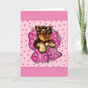 YORKSHIRE TERRIER KORT