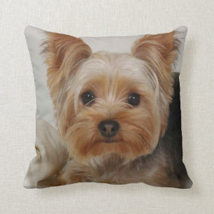 Yorkshire Terrier Kudde