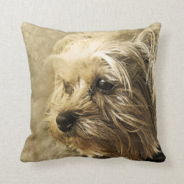 Yorkshire Terrier Kudde