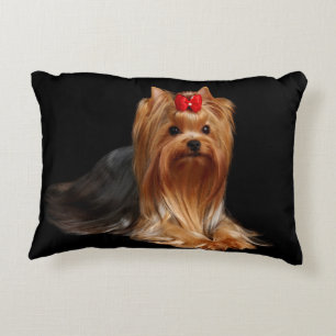 Yorkshire Terrier. Kudde