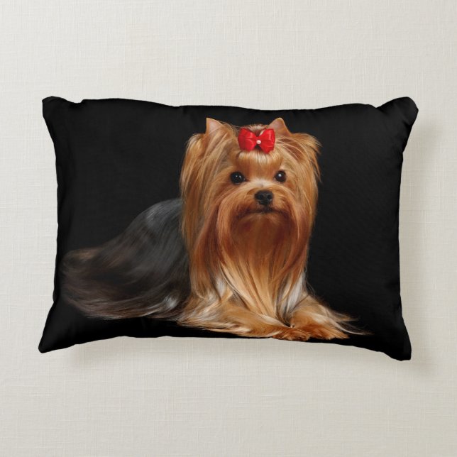 Yorkshire Terrier. Kudde (Baksidan)