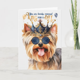 Yorkshire Terrier Kung för en dag, en dag, en dag, Kort