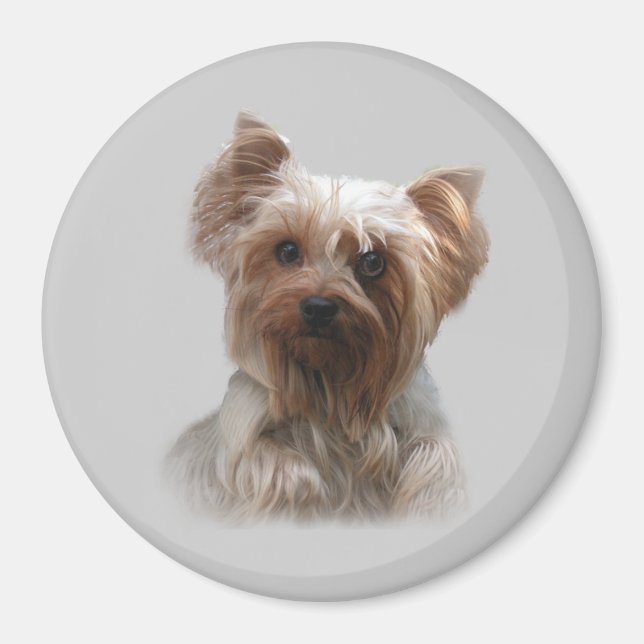Yorkshire Terrier Magnet (Framsidan)