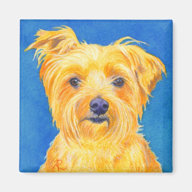 Yorkshire Terrier Magnet - "Sammy" (Framsidan)