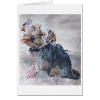 Yorkshire Terrier, målning, kort