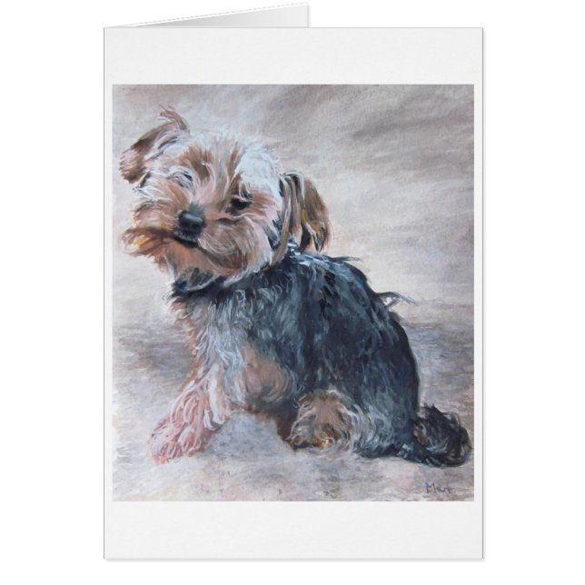 Yorkshire Terrier, målning, kort (Framsidan)