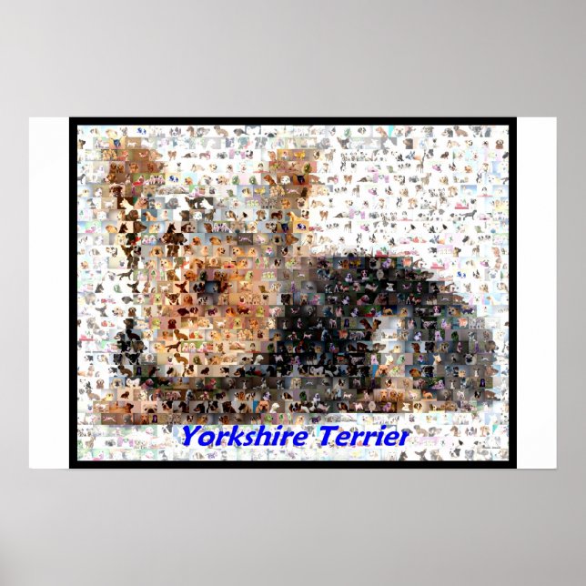 Yorkshire Terrier Montage Poster (Framsidan)