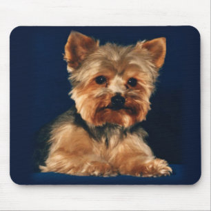 Yorkshire Terrier Mousepad Musmatta