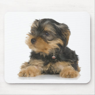 Yorkshire Terrier Mousepad Musmatta