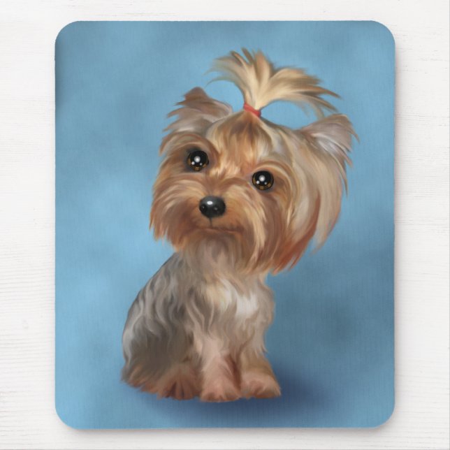 Yorkshire Terrier Musmatta (Framsidan)