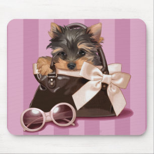 Yorkshire Terrier Musmatta
