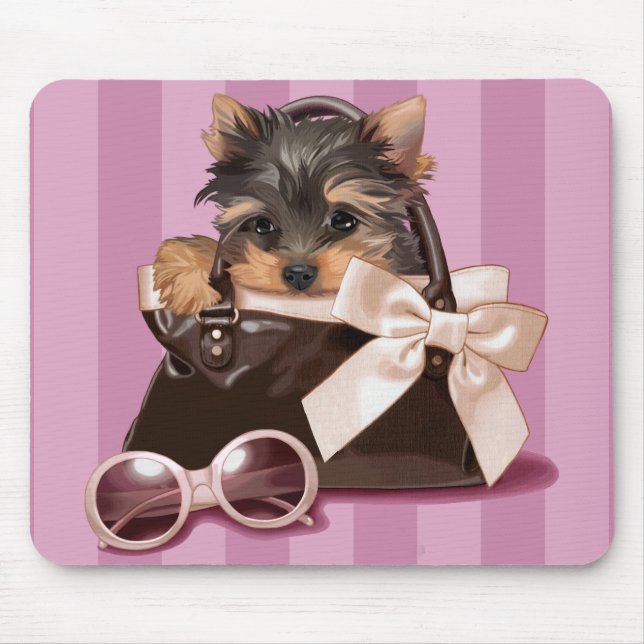 Yorkshire Terrier Musmatta (Framsidan)