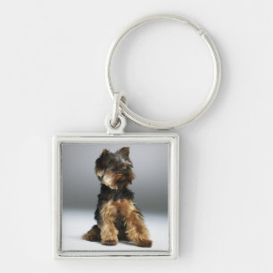 Yorkshire terrier, närbild fyrkantig silverfärgad nyckelring
