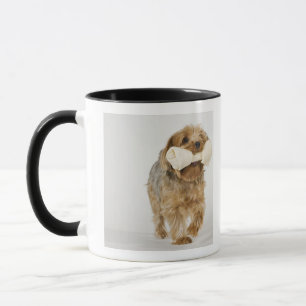 Yorkshire Terrier på att gå för vitbakgrund Mugg