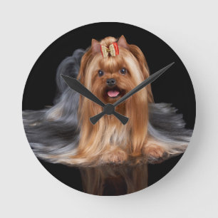 Yorkshire Terrier på svart Rund Klocka
