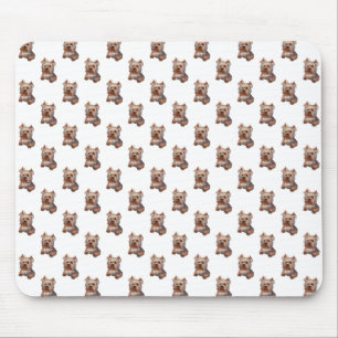 Yorkshire Terrier Pad Musmatta
