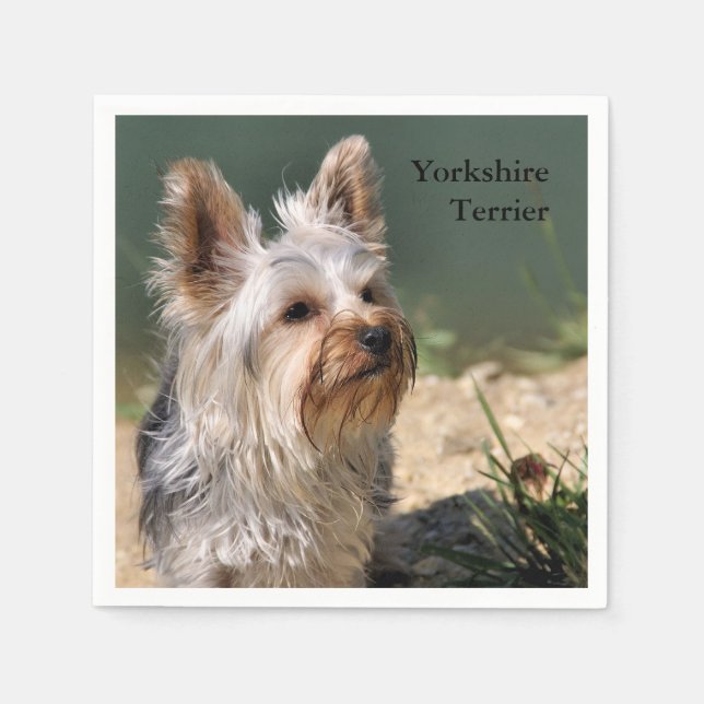 Yorkshire Terrier Pappersservett (Framsidan)