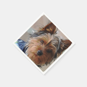 Yorkshire Terrier Pappersservett