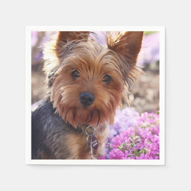 Yorkshire Terrier Pappersservett (Framsidan)