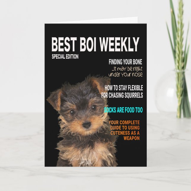Yorkshire Terrier Parody Magazine Cover Card Kort (Framsida)