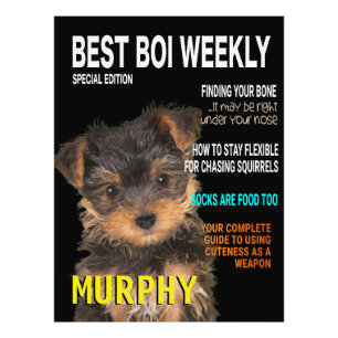 Yorkshire Terrier Parody Magazine Cover Fototryck