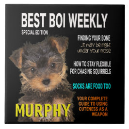 Yorkshire Terrier Parody Magazine Cover Kakelplatta