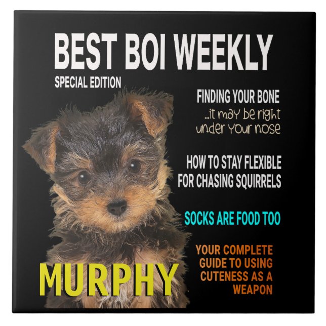 Yorkshire Terrier Parody Magazine Cover Kakelplatta (Framsidan)