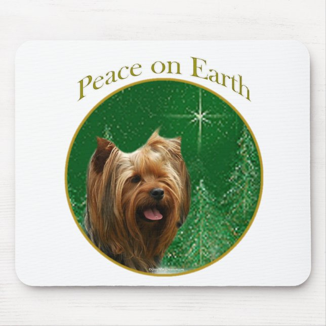 Yorkshire Terrier Peace Musmatta (Framsidan)