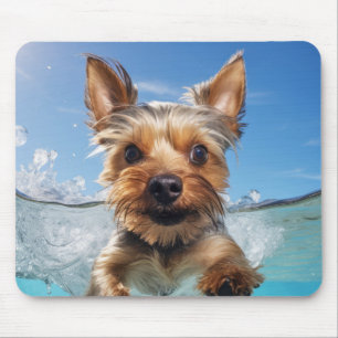 Yorkshire Terrier Pet Hund Animal Roligt Musmatta