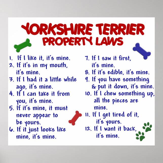 YORKSHIRE TERRIER PL2 POSTER (Framsidan)