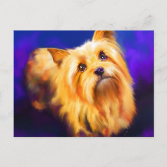 Yorkshire Terrier Postcard Vykort (Framsida)