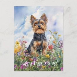 Yorkshire Terrier Postcross - Postcard Vykort