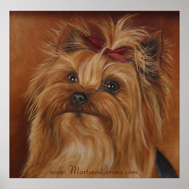 Yorkshire Terrier Poster (Framsidan)