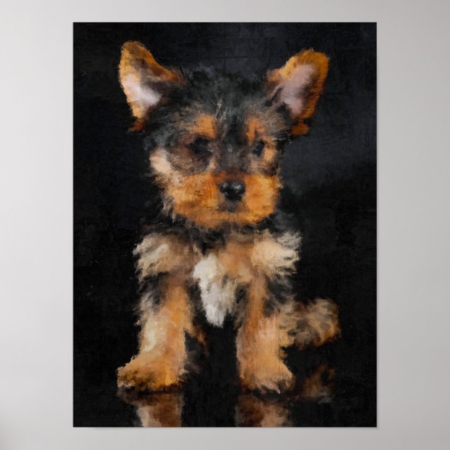 Yorkshire Terrier Poster (Framsidan)