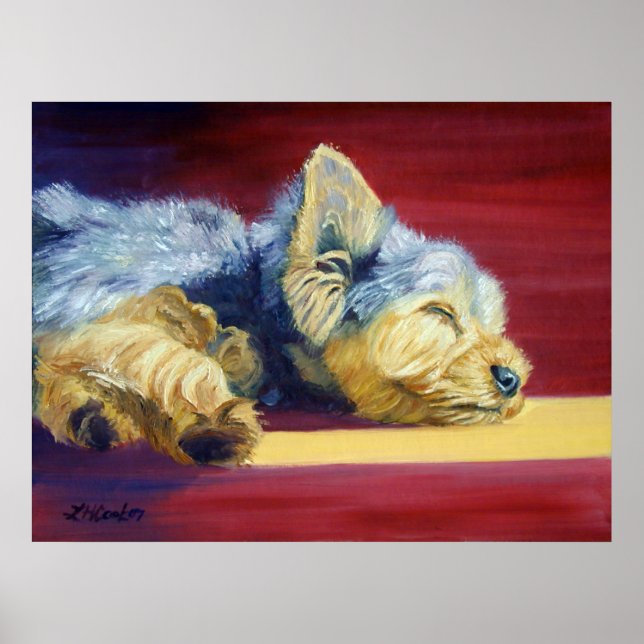Yorkshire Terrier Poster (Framsidan)