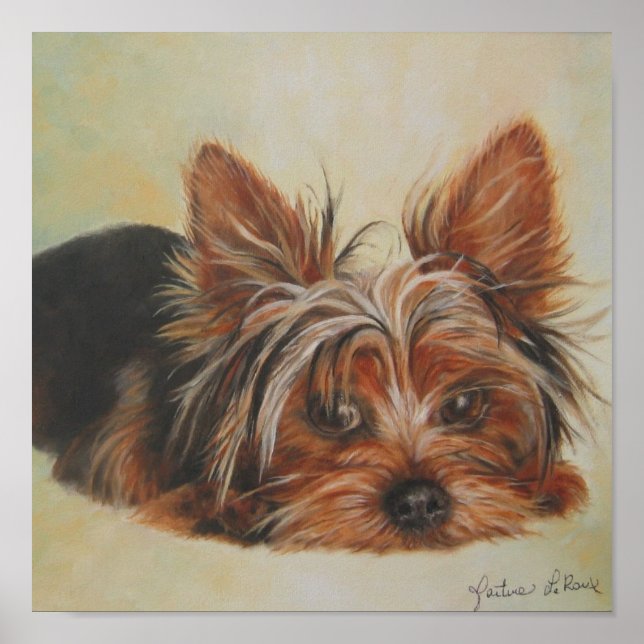 Yorkshire Terrier Poster (Framsidan)