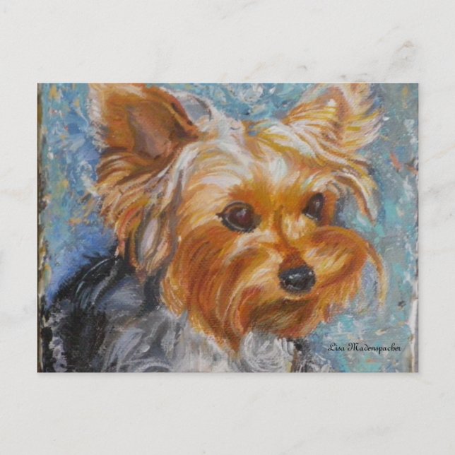 Yorkshire Terrier-postkort Vykort (Framsida)