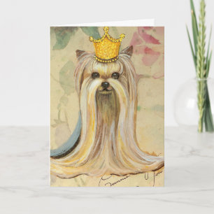 Yorkshire Terrier Princess n Ro Kort