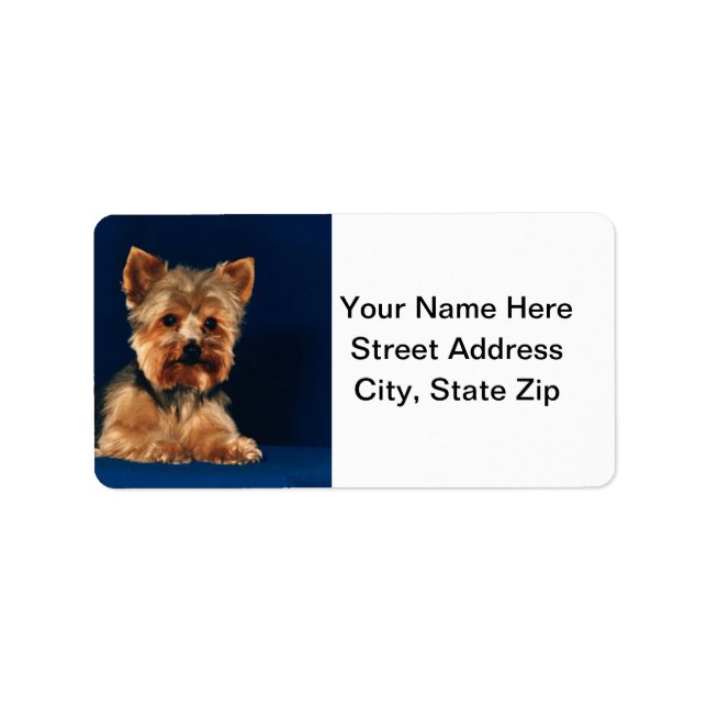 Yorkshire Terrier Puppy Adressetikett (Framsidan)