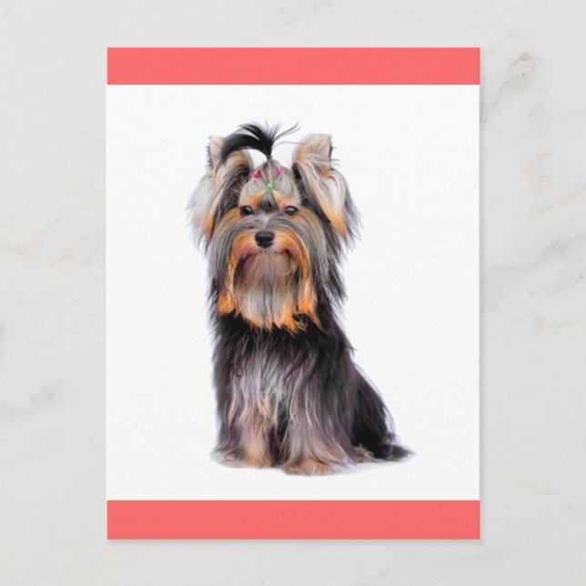 Yorkshire Terrier Puppy Hund Blank Rosa Postcard Vykort (Framsida)
