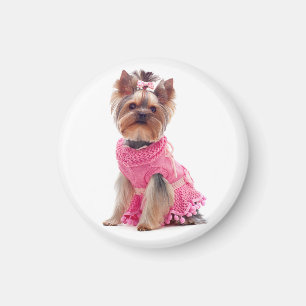 Yorkshire Terrier Puppy Hund i Rosa Dress Magnet