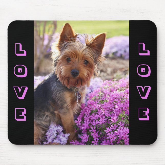 Yorkshire Terrier Puppy Hund Kärlek Mousepad Musmatta (Framsidan)