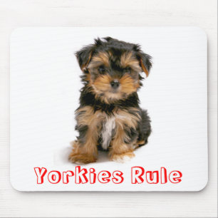 Yorkshire Terrier Puppy Hund Mousepad Musmatta