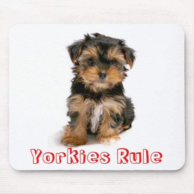 Yorkshire Terrier Puppy Hund Mousepad Musmatta (Framsidan)