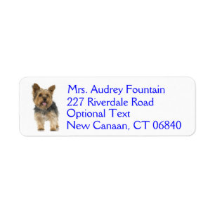 Yorkshire Terrier Puppy Hund Return-adressetikett Returadress Etikett
