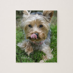 Yorkshire Terrier Puppy - "jjhelene design" Pussel