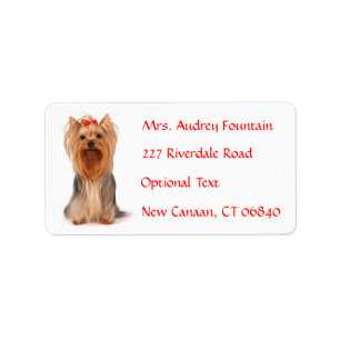 Yorkshire Terrier Puppy Namn Adress e-postmeddelan Adressetikett