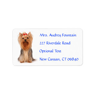 Yorkshire Terrier Puppy Namn Adress e-postmeddelan Adressetikett